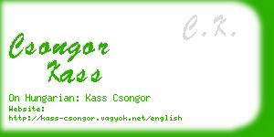 csongor kass business card